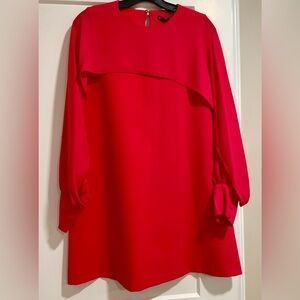 Zara a-line mini dress.